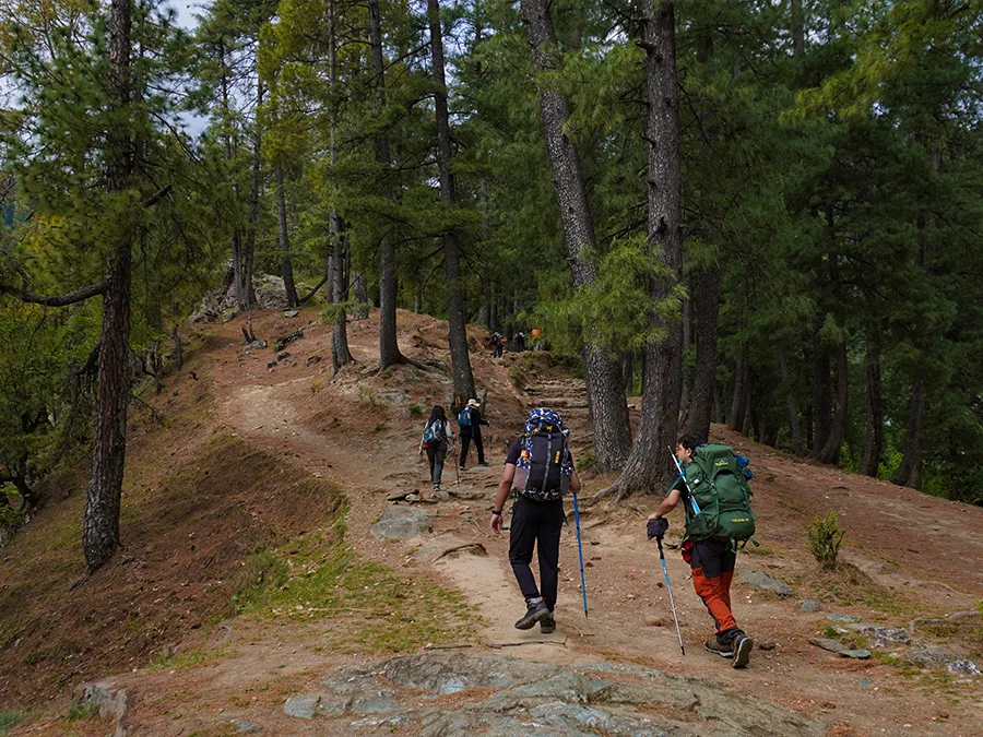 Phulara Ridge Trek