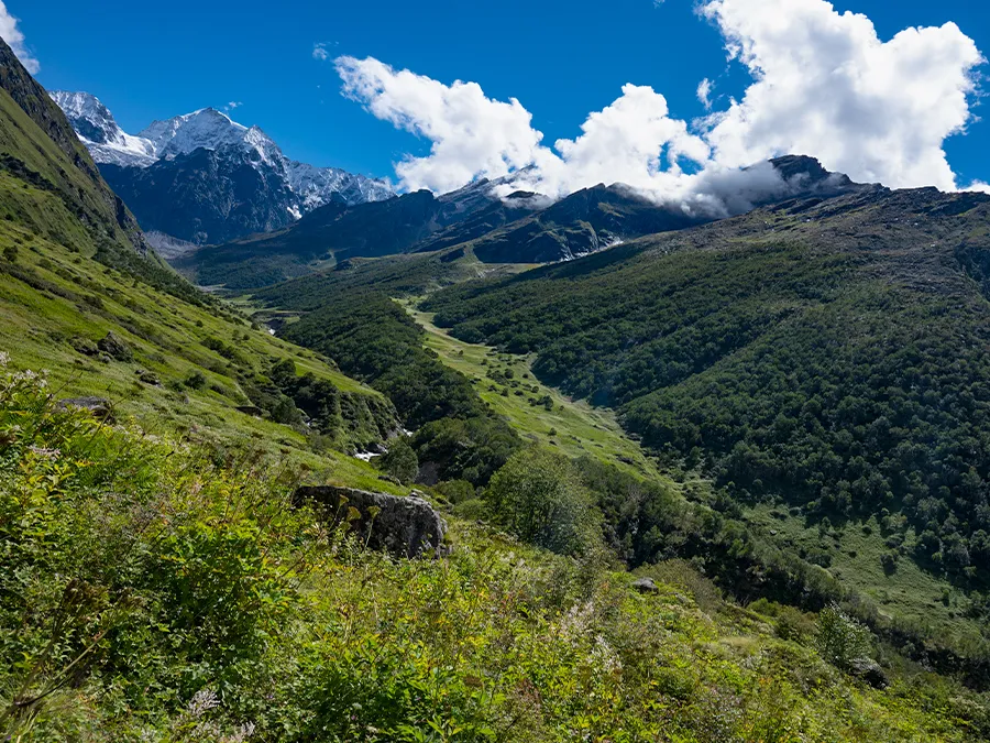 Valley of Flowers Trek